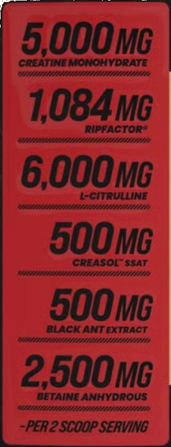 Bucked Up Black Ants High Stim Pre-Workout Ant-Strong|Lowcostvitamin.com|pre workout