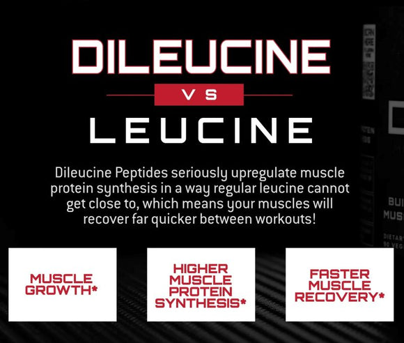 Unmatched Nutrition Dileucine|Lowcostvitamin.com|BCAA