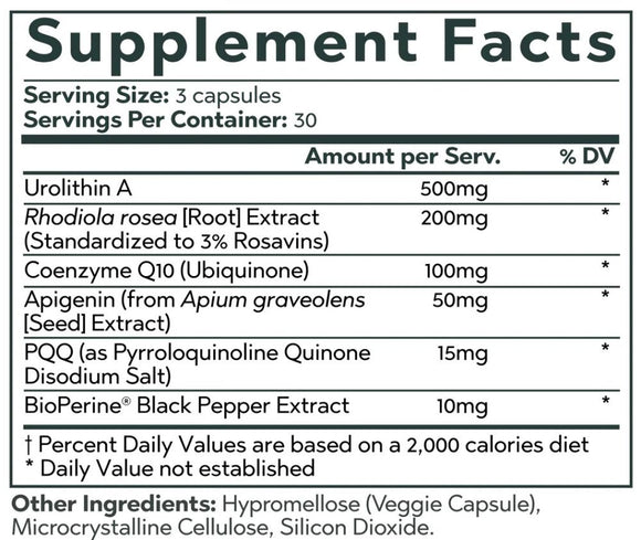 Revive Longevity Core Health Aging Support