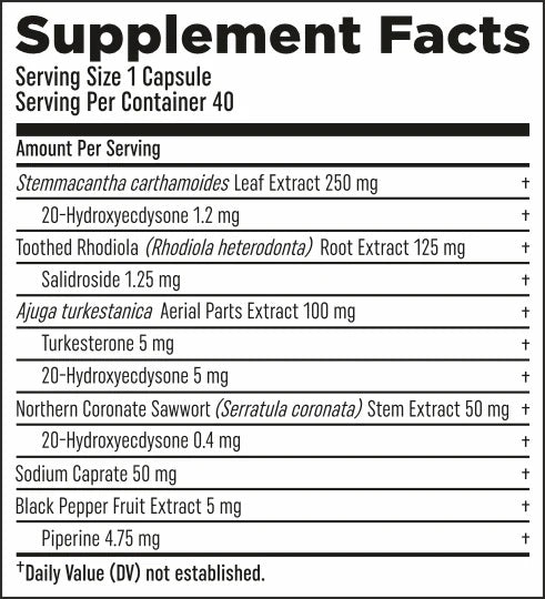 HTLT Supps Turk Builder Platinum|Lowcostvitamin.com|Muscle Builder
