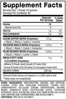 BPI Sports Best BCAA 30 servings|Lowcostvitamin.com|BCAA