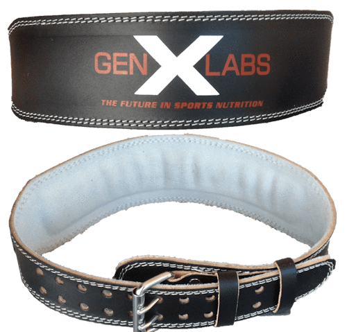 FREE GenXLabs Padded Weight Lifting Belt 4" (code) Free Belt|Lowcostvitamin.com|Belt