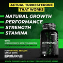 Enhanced Labs Phytoturk 60 Capsules|Lowcostvitamin.com|Test Booster