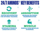 MyoBlox 24/7 Aminos 30 servings|Lowcostvitamin.com|Amino Acids