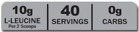 ANSI BCAA 12400 40 servings|Lowcostvitamin.com|BCAA