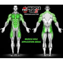 Muscle Gelz AndroShred 8oz|Lowcostvitamin.com|Test Booster