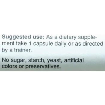 Body and Fitness L-Arginine & Ornithine 100 Capsules|Lowcostvitamin.com|Amino Acids