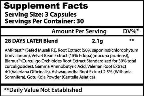 Insane Labz 28 Days Later 90 capsules|Lowcostvitamin.com|Test Booster