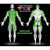 Muscle Gelz Cream Muscle Gelz TestroZone 8oz