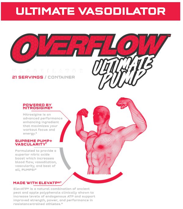 Modern Hardcore Nutrition Overflow