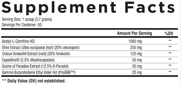 Core Nutritionals Shred Powder Non-Stim Fat Burner|Lowcostvitamin.com|Fat Burner