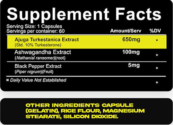 Repp Sports Turkesterone+ Lean Muscle 60 Capsules|Lowcostvitamin.com|Muscle Builder