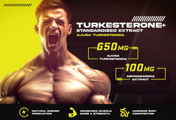 Repp Sports Turkesterone+ Lean Muscle 60 Capsules|Lowcostvitamin.com|Muscle Builder